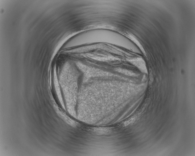 X0000061141132200512161523