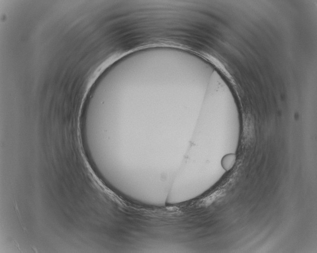 X0000061141133200512161523