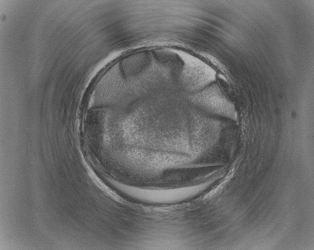 X0000061141134200512161523