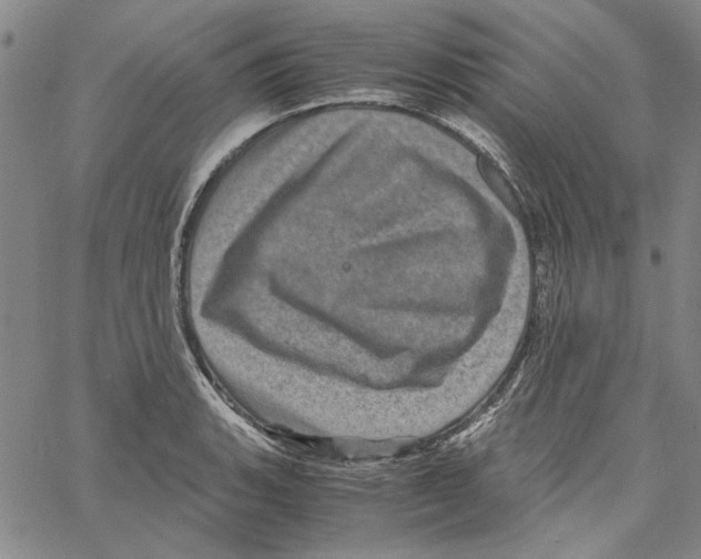 X0000061141135200512161523