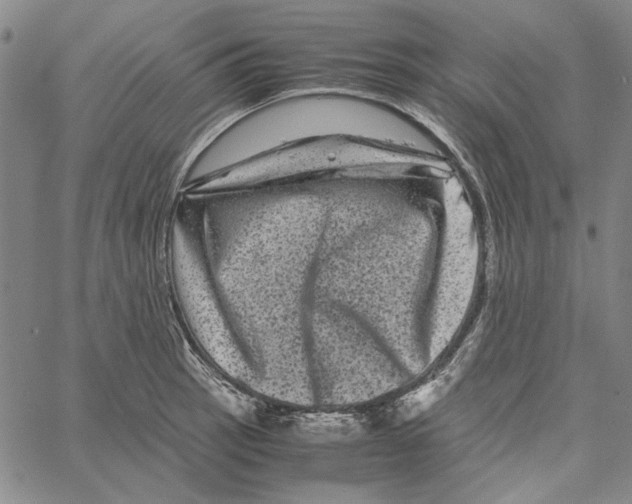 X0000061141137200512161523