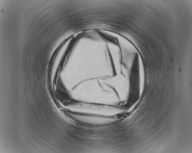 X0000061141139200512161523