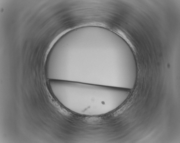 X0000061141140200512161523