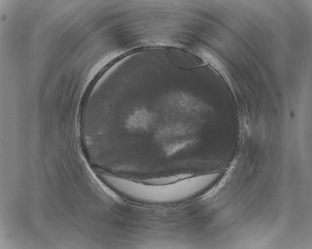 X0000061141141200512161523