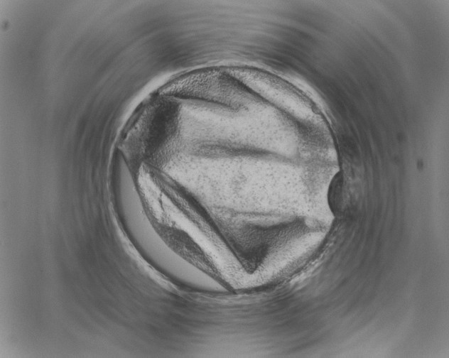 X0000061141142200512161523