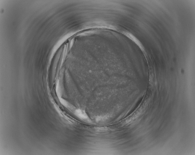 X0000061141144200512161523