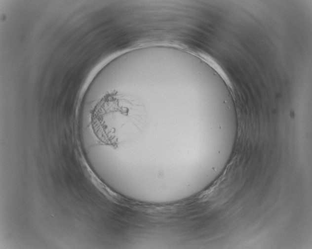 X0000061141148200512161524