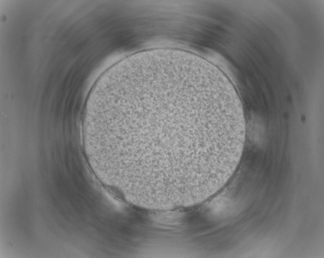 X0000061141150200512161524