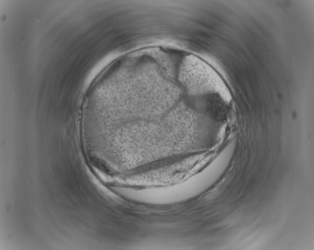 X0000061141151200512161524