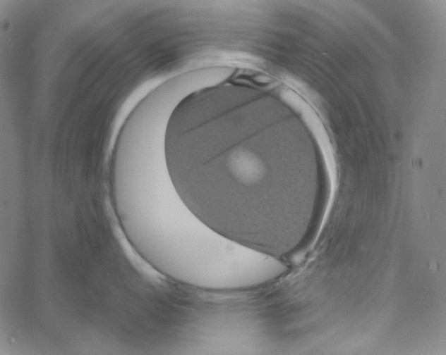 X0000061141152200512161524