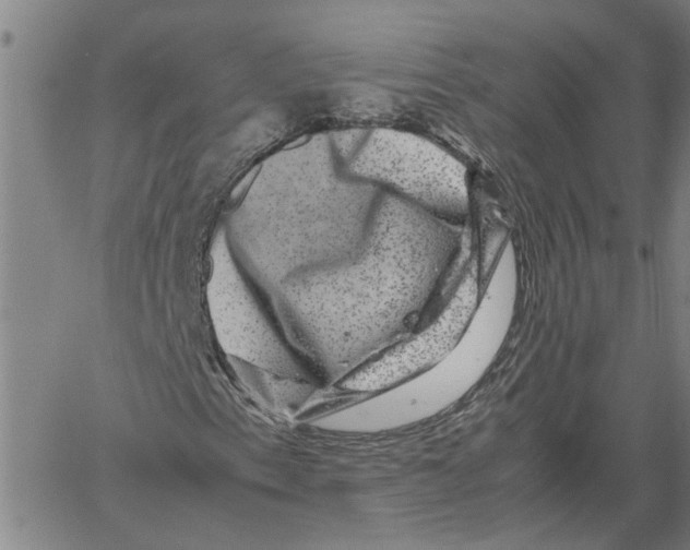 X0000061141153200512161523