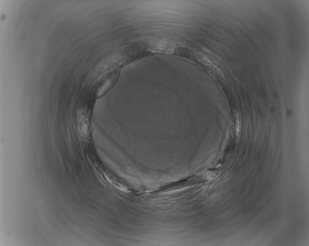 X0000061141154200512161523