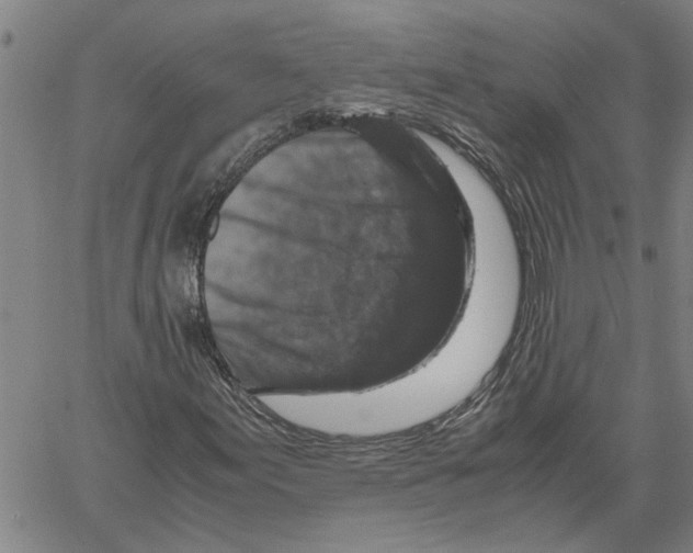 X0000061141155200512161523