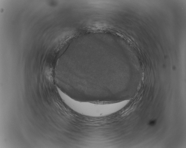 X0000061141156200512161523