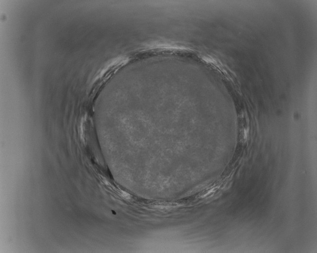 X0000061141157200512161523