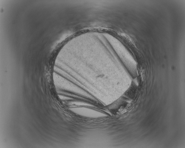 X0000061141159200512161523