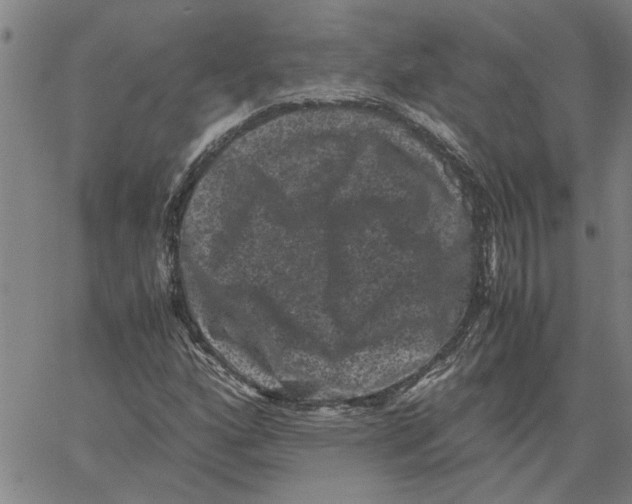 X0000061141160200512161523