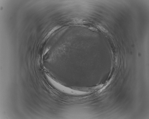 X0000061141161200512161523