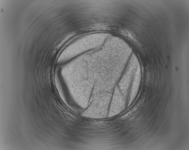 X0000061141162200512161523