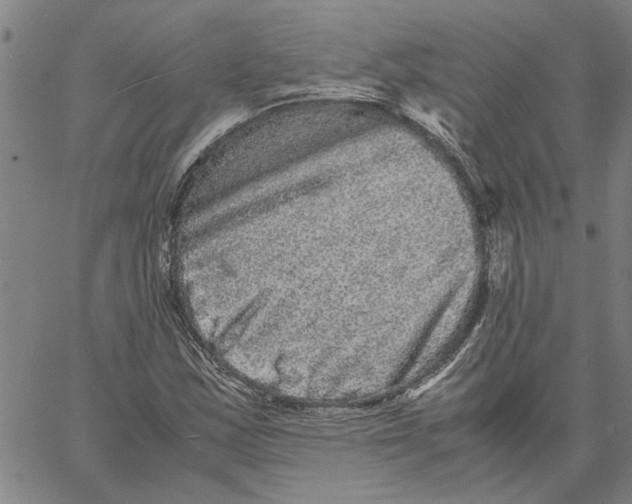 X0000061141163200512161523