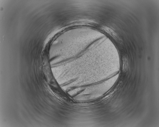 X0000061141164200512161523