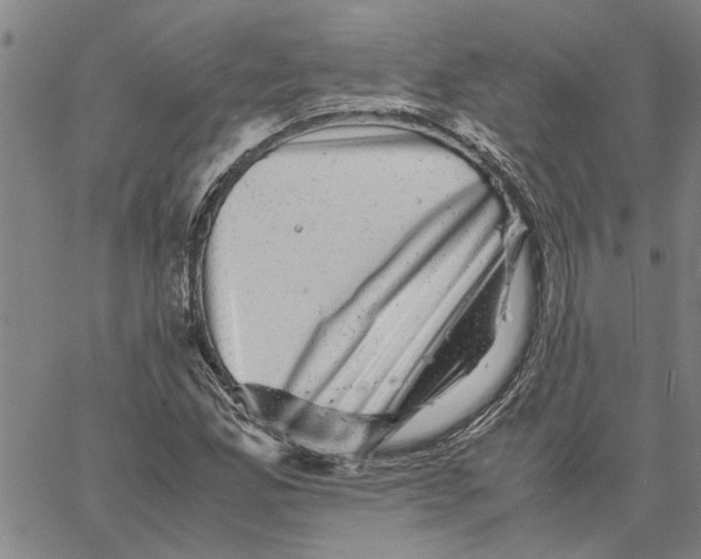 X0000061141165200512161523