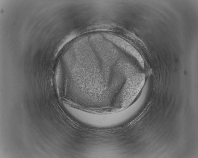 X0000061141166200512161523