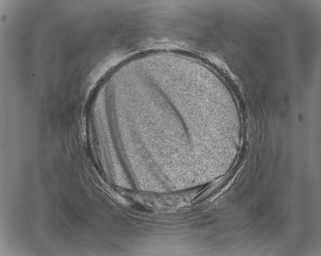 X0000061141167200512161523