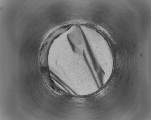 X0000061141168200512161523