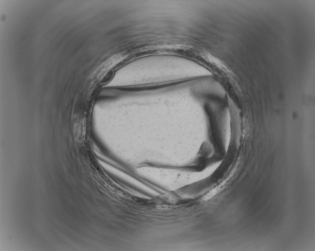 X0000061141169200512161523