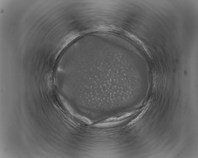 X0000061141170200512161523