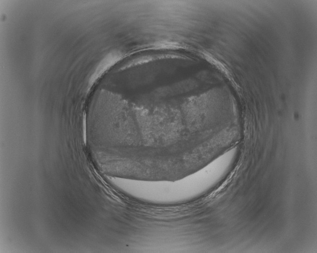 X0000061141171200512161522