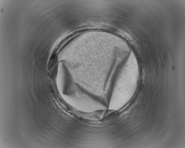 X0000061141172200512161522