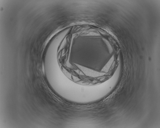 X0000061141173200512161522