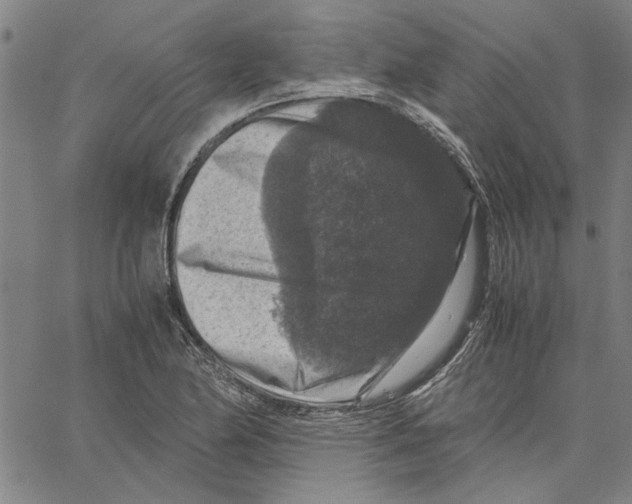 X0000061141174200512161522