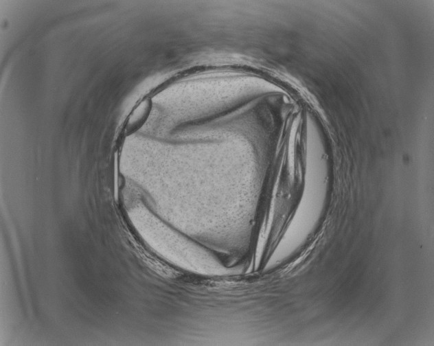 X0000061141175200512161522