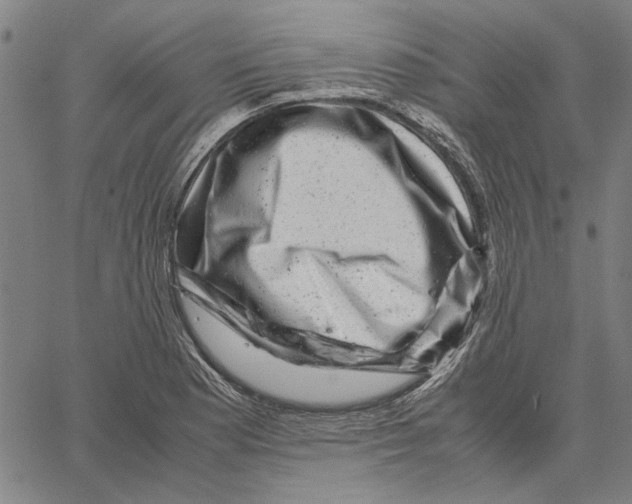 X0000061141177200512161522