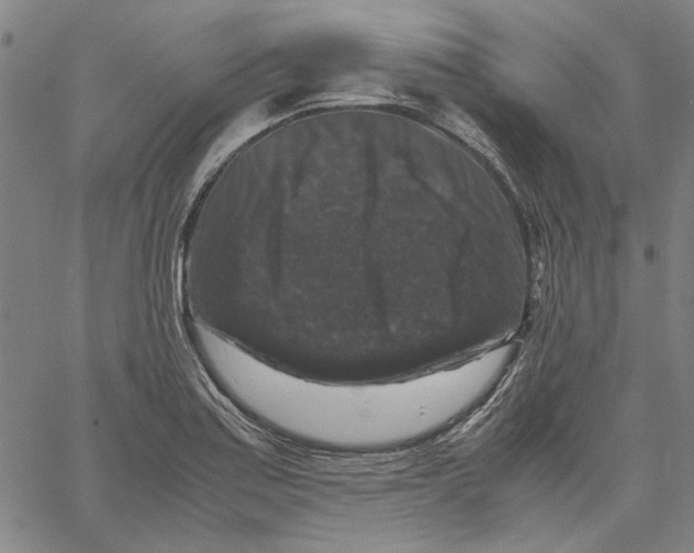 X0000061141179200512161522