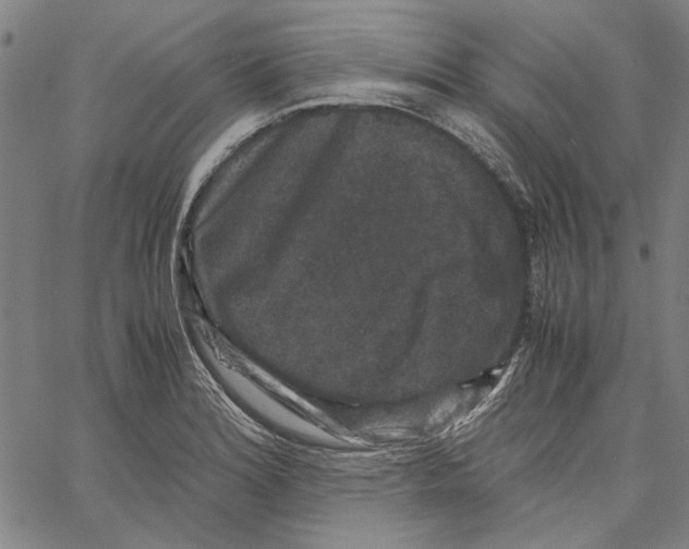 X0000061141180200512161522