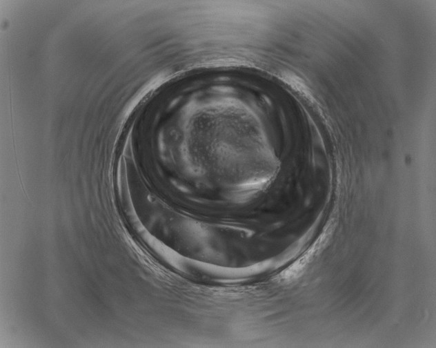 X0000061141181200512161522