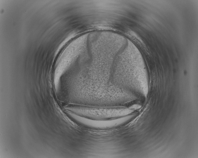 X0000061141182200512161522