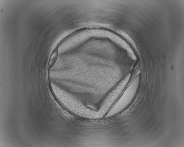 X0000061141183200512161522