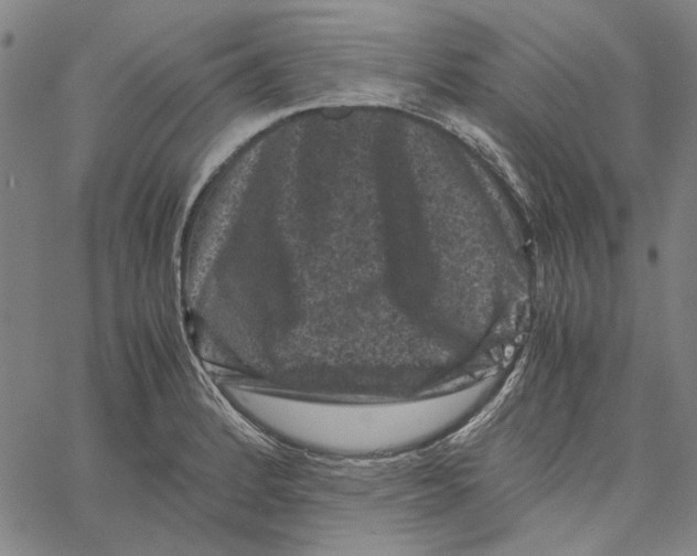 X0000061141184200512161522