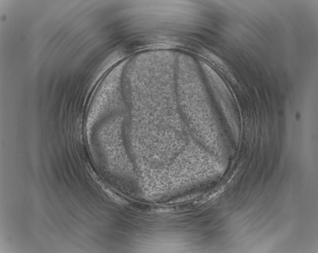 X0000061141186200512161522