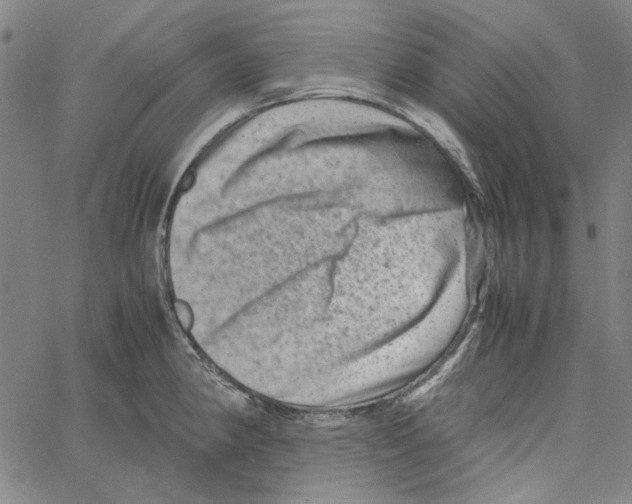 X0000061141190200512161522