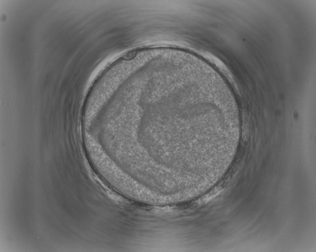 X0000061141191200512161522