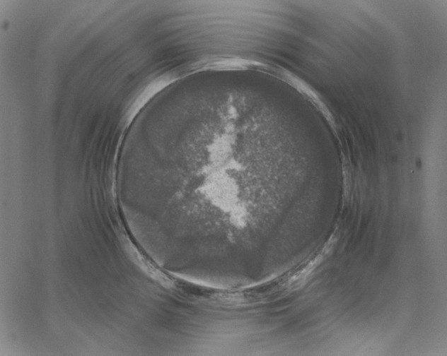 X0000061141194200512161522