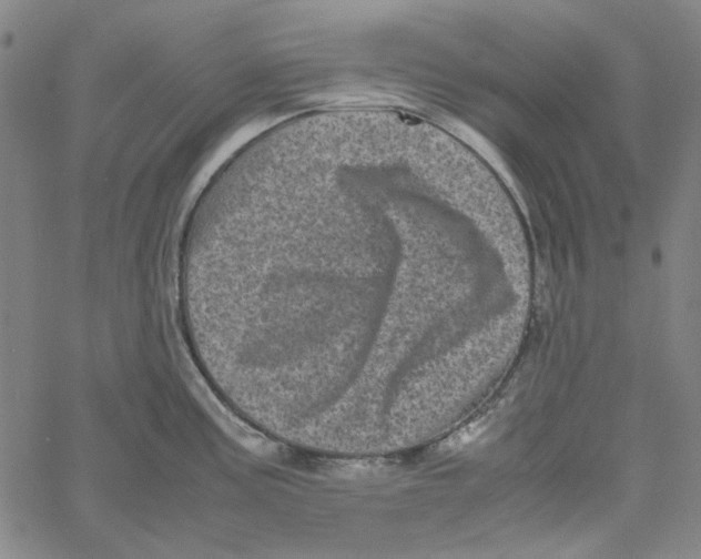 X0000061141195200512161522