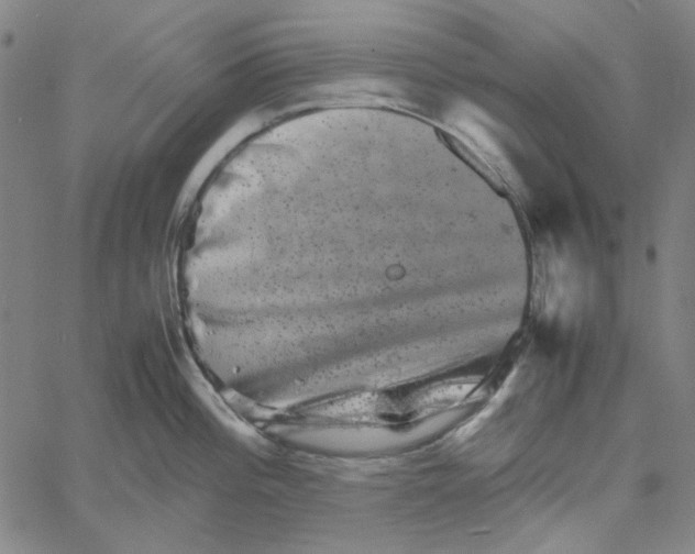 X0000061141196200512161522