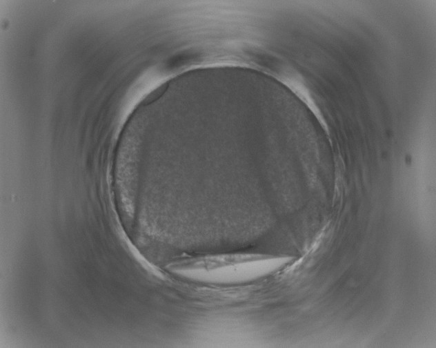 X0000061141197200512161522